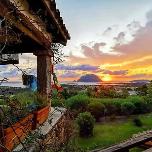 Acchiappasogni , Loiri Porto San Paolo Italien